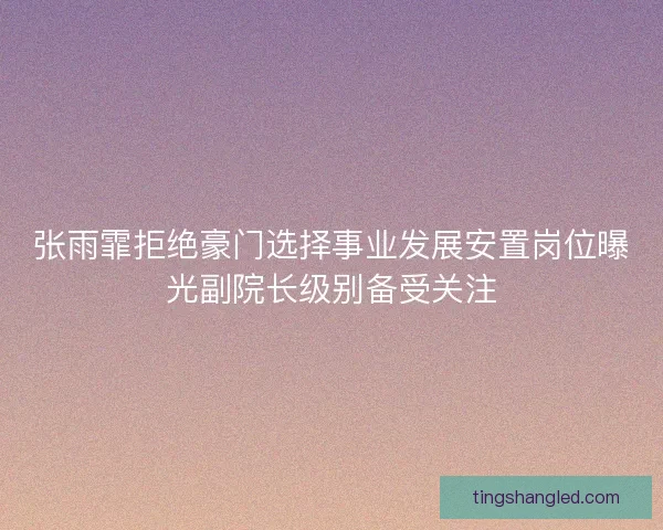 张雨霏拒绝豪门选择事业发展安置岗位曝光副院长级别备受关注